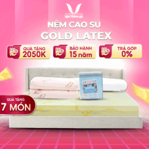 NỆM CAO SU GOLD LATEX THẮNG LỢI