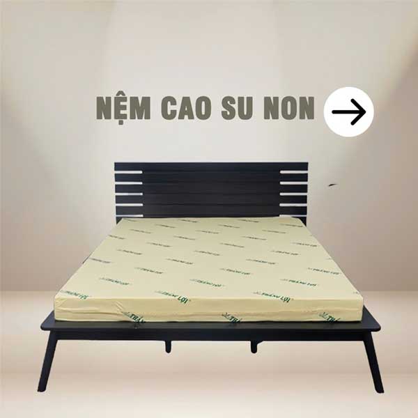 NỆM CAO SU NON