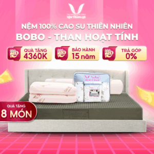 NỆM 100% CAO SU THIÊN NHIÊN THẮNG LỢI BOBO-THAN HOẠT TÍNH