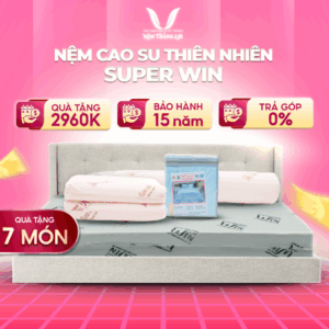 NỆM CAO SU THIÊN NHIÊN SUPPER WIN THẮNG LỢI