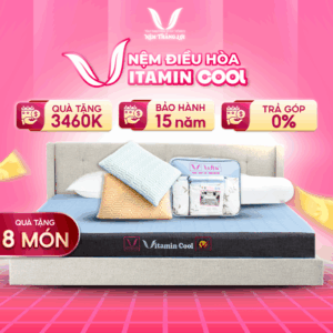 NỆM ĐIỀU HOÀ THẮNG LỢI VITAMIN COOL