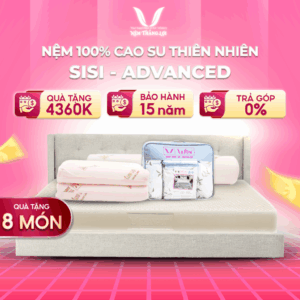 NỆM 100% CAO SU THIÊN NHIÊN THẮNG LỢI SISI - ADVANCED