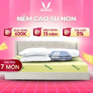 NỆM CAO SU NON THẮNG LỢI