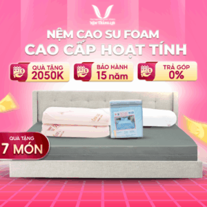 NỆM FOAM HOẠT TÍNH CAO CẤP THẮNG LỢI