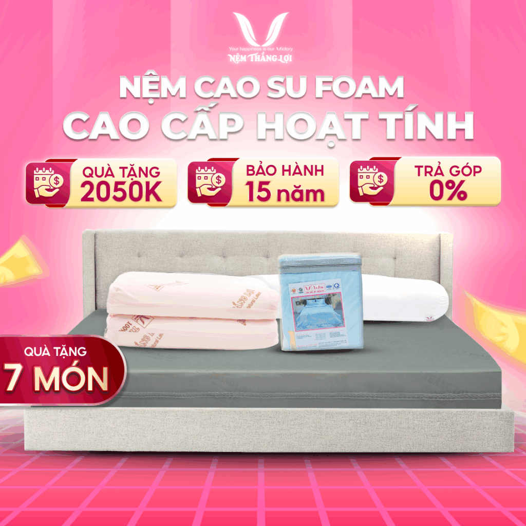NỆM FOAM HOẠT TÍNH CAO CẤP THẮNG LỢI