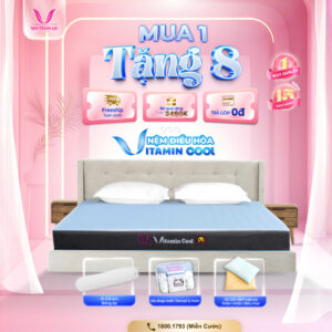NỆM ĐIỀU HOÀ THẮNG LỢI VITAMIN COOL