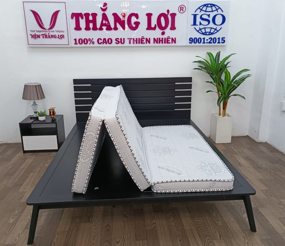 NỆM MEMORY FOAM THẮNG LỢI - GẤP 3